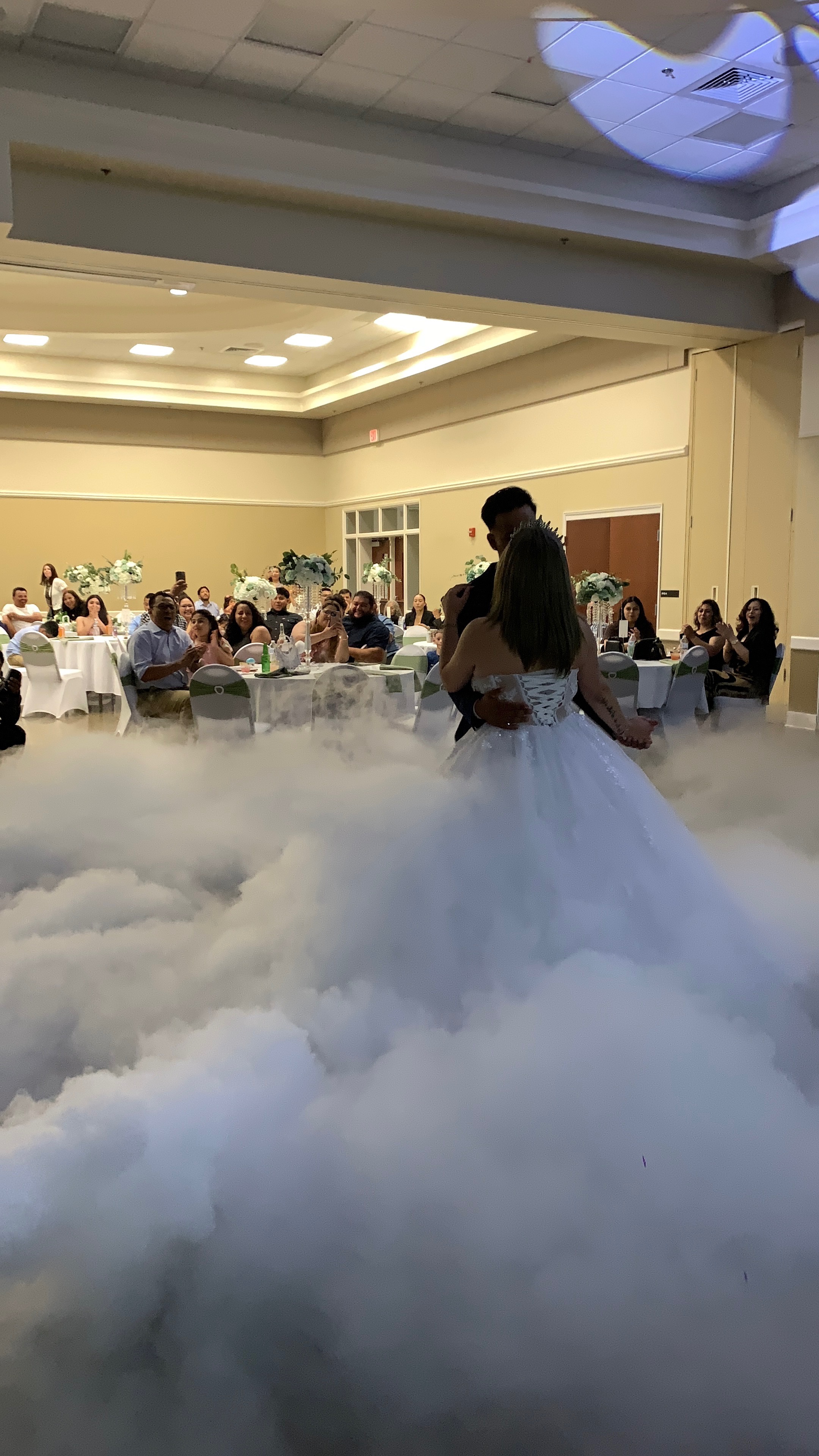 Wedding celebration and first dance